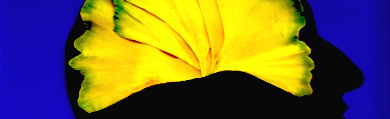 faltblatt Szilly goethe und das ginkgogehirn