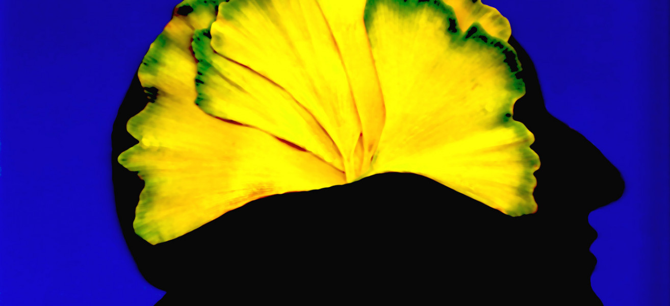 faltblatt Szilly goethe und das ginkgogehirn