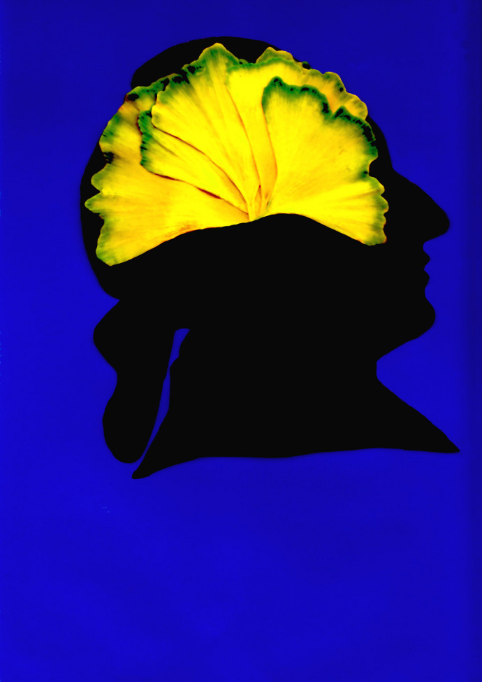 faltblatt Szilly goethe und das ginkgogehirn